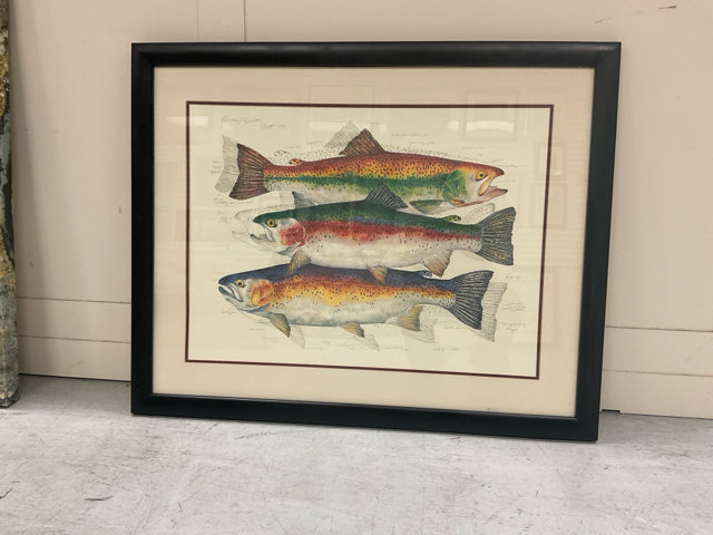 RAINBOW TROUT PRINT 40" W, 33" H