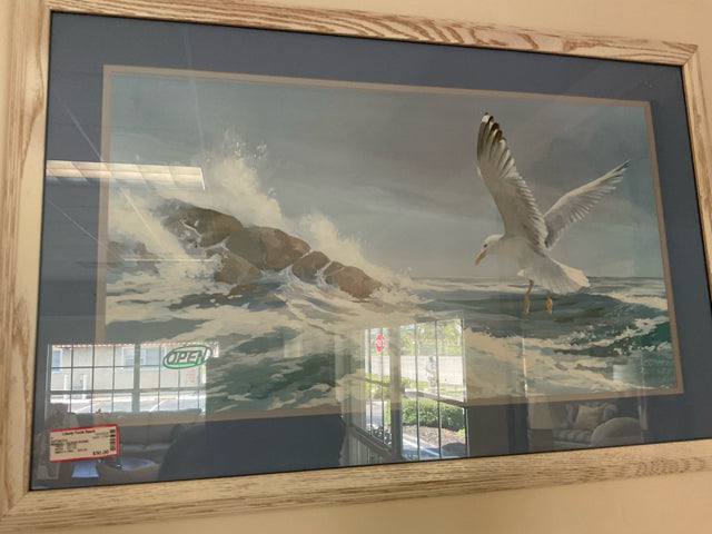 SEAGULL OCEAN SCENE