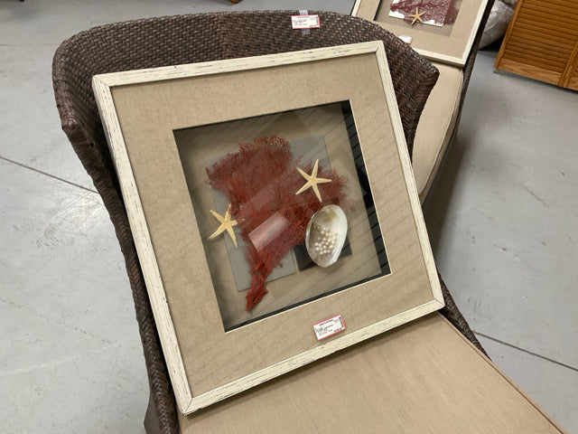SEA ITEMS -  SHADOW BOX
