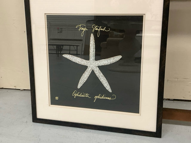 FINGER STAR FISH 25.5 X 25.5