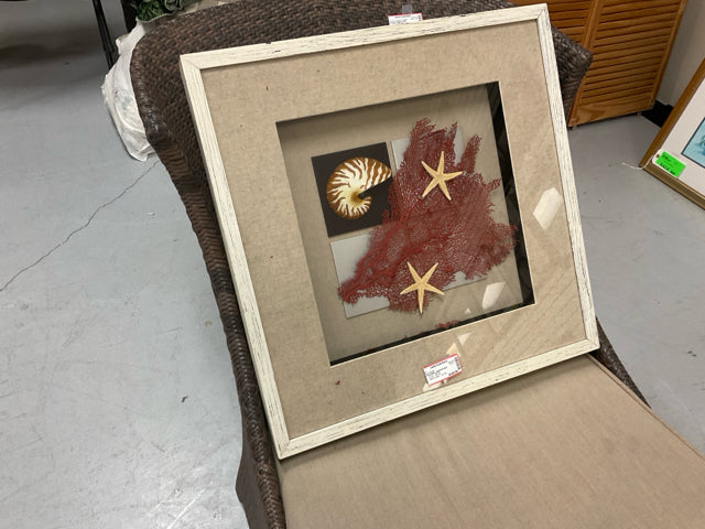SEA ITEMS -  SHADOW BOX